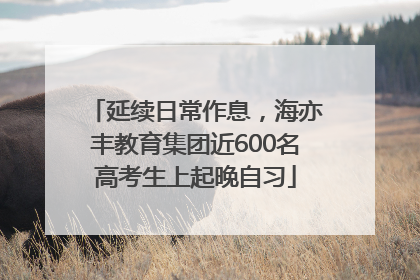 延续日常作息，海亦丰教育集团近600名高考生上起晚自习