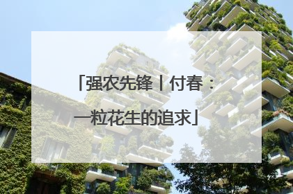强农先锋丨付春：一粒花生的追求