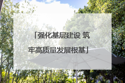 强化基层建设 筑牢高质量发展根基