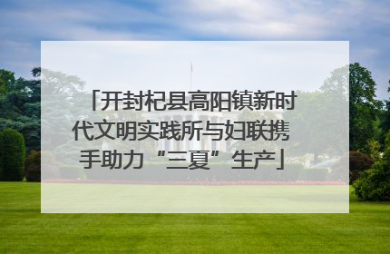 开封杞县高阳镇新时代文明实践所与妇联携手助力“三夏”生产