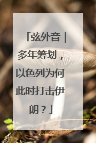 弦外音｜多年筹划，以色列为何此时打击伊朗？