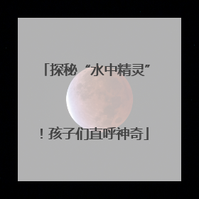探秘“水中精灵”！孩子们直呼神奇