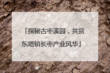 探秘古枣溪园，共赏东塔镇长枣产业风华