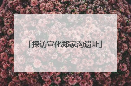 探访宣化郑家沟遗址