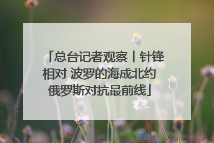 总台记者观察丨针锋相对 波罗的海成北约俄罗斯对抗最前线