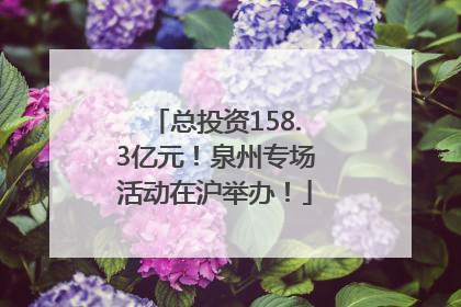 总投资158.3亿元！泉州专场活动在沪举办！