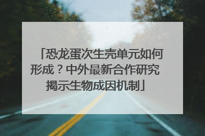 恐龙蛋次生壳单元如何形成？中外最新合作研究揭示生物成因机制