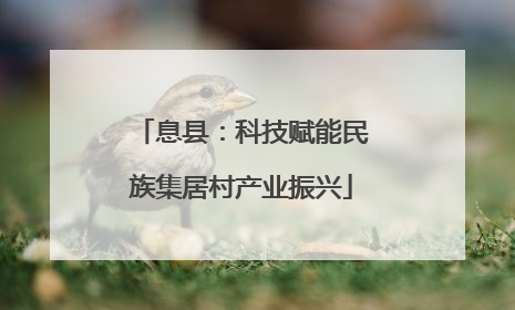 息县：科技赋能民族集居村产业振兴