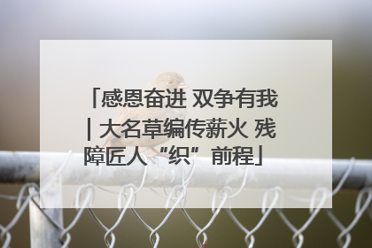 感恩奋进 双争有我｜大名草编传薪火 残障匠人“织”前程