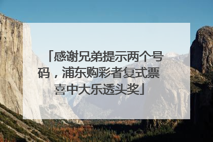 感谢兄弟提示两个号码，浦东购彩者复式票喜中大乐透头奖