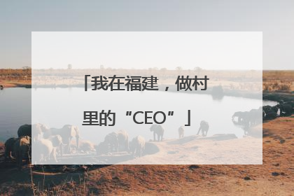我在福建，做村里的“CEO”
