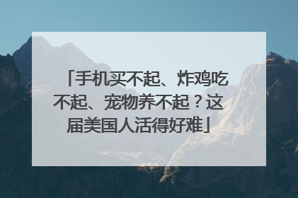 手机买不起、炸鸡吃不起、宠物养不起？这届美国人活得好难