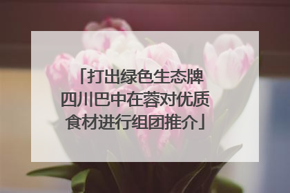 打出绿色生态牌 四川巴中在蓉对优质食材进行组团推介