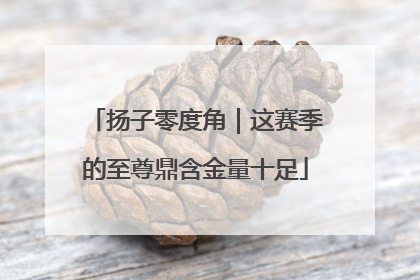 扬子零度角｜这赛季的至尊鼎含金量十足