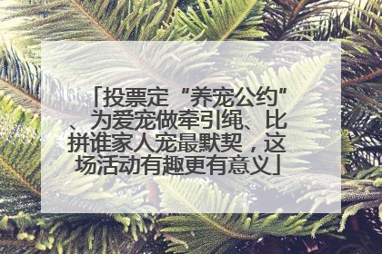 投票定“养宠公约”、为爱宠做牵引绳、比拼谁家人宠最默契，这场活动有趣更有意义