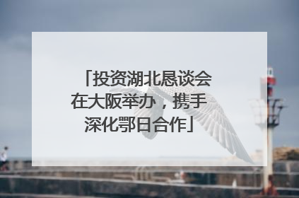 投资湖北恳谈会在大阪举办，携手深化鄂日合作