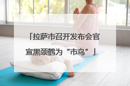 拉萨市召开发布会官宣黑颈鹤为“市鸟”