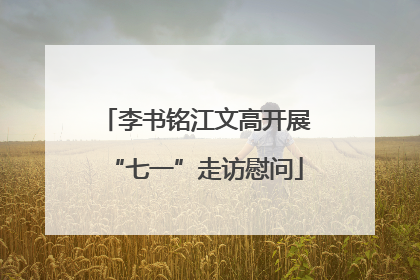 李书铭江文高开展“七一”走访慰问