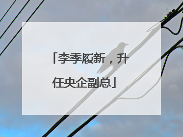 李季履新，升任央企副总
