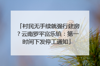 村民无手续就强行建房？云南罗平富乐镇：第一时间下发停工通知