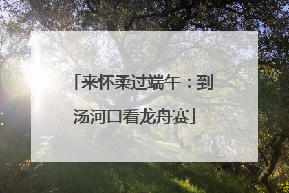 来怀柔过端午：到汤河口看龙舟赛