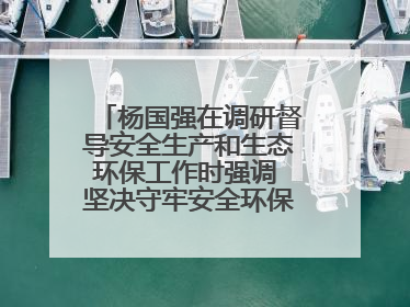 杨国强在调研督导安全生产和生态环保工作时强调 坚决守牢安全环保底线红线 为全市经济社会高质量发展提供坚强保障
