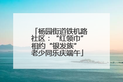 杨园街道铁机路社区：“红领巾”相约“银发族” 老少同乐庆端午
