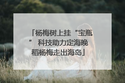 杨梅树上挂“宝瓶” 科技助力定海晚稻杨梅走出海岛