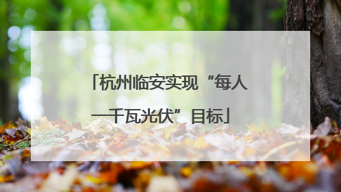 杭州临安实现“每人一千瓦光伏”目标
