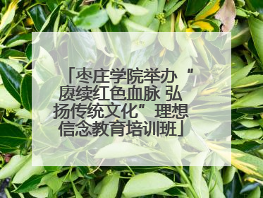 枣庄学院举办“赓续红色血脉 弘扬传统文化”理想信念教育培训班