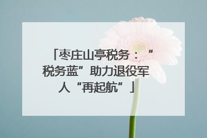 枣庄山亭税务：“税务蓝”助力退役军人“再起航”