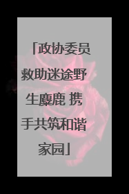 政协委员救助迷途野生麋鹿 携手共筑和谐家园