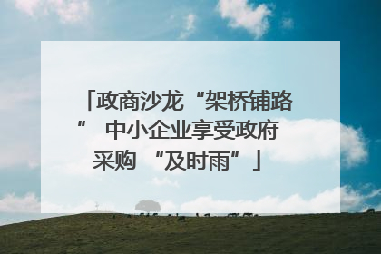 政商沙龙“架桥铺路” 中小企业享受政府采购 “及时雨”