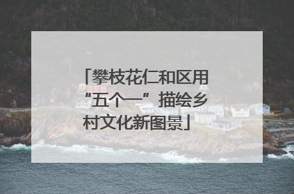 攀枝花仁和区用“五个一”描绘乡村文化新图景