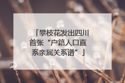 攀枝花发出四川首张“户籍人口直系亲属关系谱”