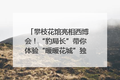 攀枝花馆亮相西博会！“豹局长”带你体验“暖暖花城”独特魅力｜西博视界