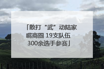 散打“武”动陆家嘴商圈 19支队伍300余选手参赛