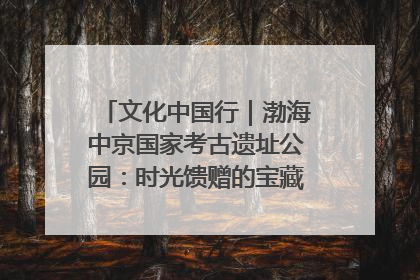文化中国行｜渤海中京国家考古遗址公园：时光馈赠的宝藏 历史凝固的诗篇