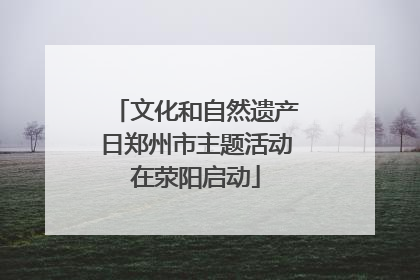 文化和自然遗产日郑州市主题活动在荥阳启动