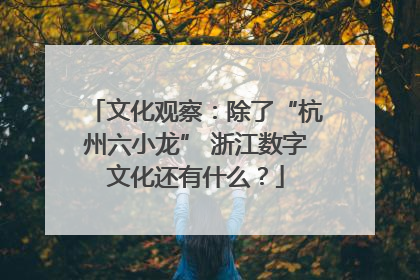 文化观察：除了“杭州六小龙” 浙江数字文化还有什么？