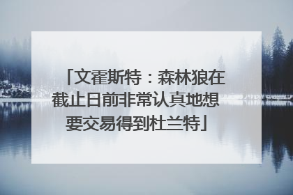 文霍斯特：森林狼在截止日前非常认真地想要交易得到杜兰特