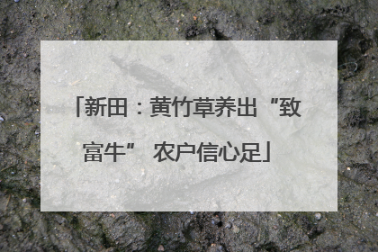新田：黄竹草养出“致富牛” 农户信心足