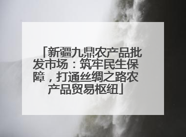 新疆九鼎农产品批发市场：筑牢民生保障，打通丝绸之路农产品贸易枢纽