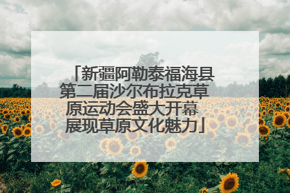 新疆阿勒泰福海县第二届沙尔布拉克草原运动会盛大开幕 展现草原文化魅力