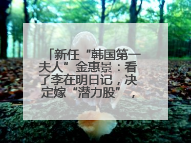 新任“韩国第一夫人”金惠景：看了李在明日记，决定嫁“潜力股”，曾是钢琴老师，一开始并不支持丈夫从政