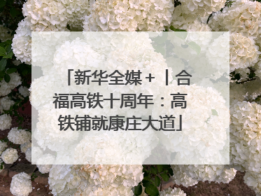 新华全媒＋丨合福高铁十周年：高铁铺就康庄大道