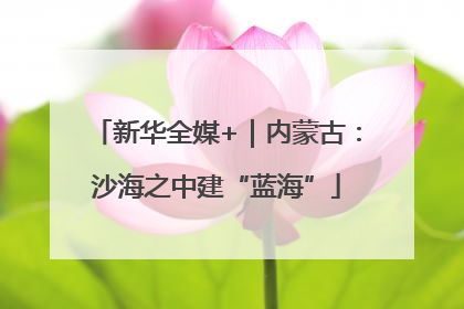 新华全媒+｜内蒙古：沙海之中建“蓝海”