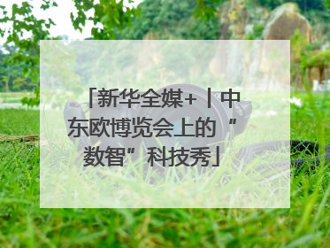 新华全媒+丨中东欧博览会上的“数智”科技秀