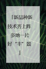 新品种新技术齐上阵 多地一片好“丰”景
