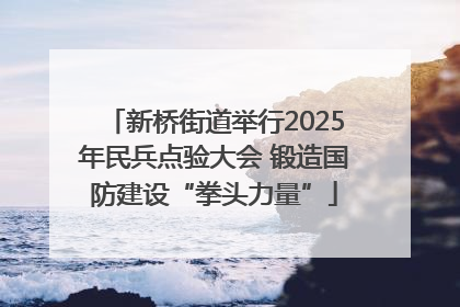 新桥街道举行2025年民兵点验大会 锻造国防建设“拳头力量”